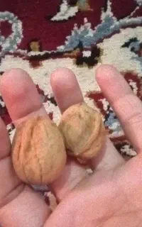 گردو محلی بسیار پر چرب  و بادام امساله