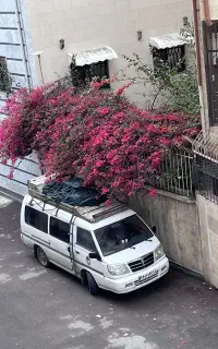 ون دلیکا کمپر