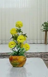 تلفن رومیزی مربوط به عکس