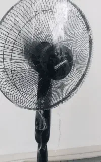 پنکه ایستاده