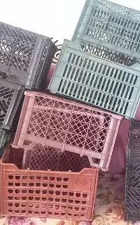 سبد میوه