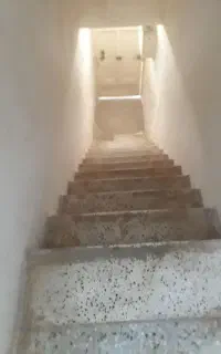 رهن و اجاره لکس بالا/ پانصد دستگاه