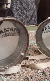 دو عدد ارتشی ۳۶ سیمه