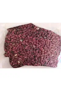 لوبیا قرمز