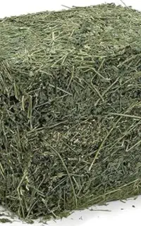 با سلام ۸۰ عدد پرس یونجه کیفیت بالا ب فروش میرسد