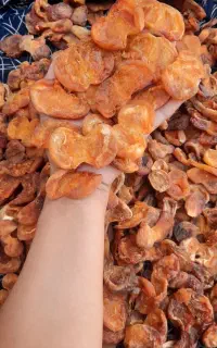 برگه زردآلو ارگانیک آفتابی