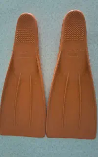 کفش شنا