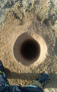 کندن چاله وامور باغبانی حرص انواع درخت