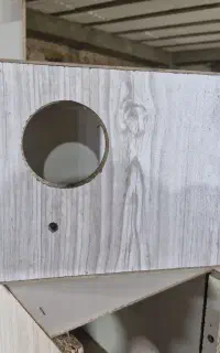 لونه عروس لانه عروس