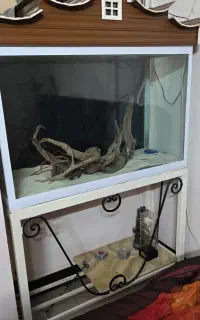 آکواریوم