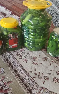 خیارشور خانگی