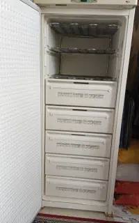 فریزر پارس