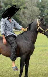 اسب کورد6 سال اخته