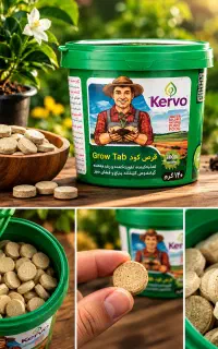 قرص کود Kervo Grow Tab