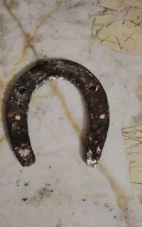 نعل اسب