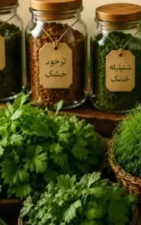 انواع سبزیجات( خشک و تر )