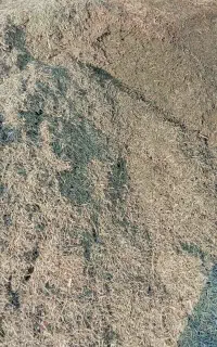 یونجه کوبیده شده
