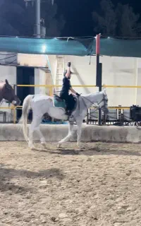 اسب کلاسی