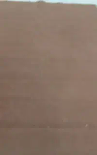 موکت