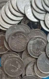 ۸۰۰۰عددانواع سکه شاهی