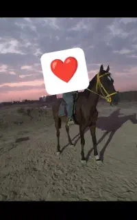 اسب