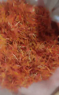 فروش