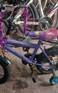 دوچرخه