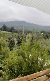 فروش زمین باغی