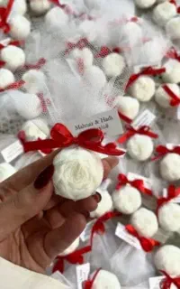 گیفت عروسی دندونی تعیین جنسیت