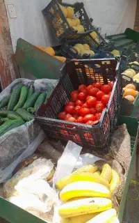 شاگرد برای میوه فروشی تازه باز شده
