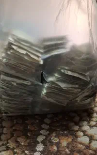 پولای قدیمی ورند