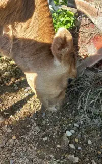ماده ۹۰ روز