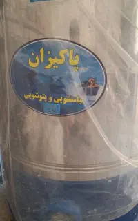 پتوشور