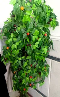 گل مصنوعی (درختچه گیلاس)