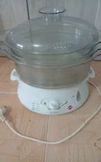 بخار پز غذا