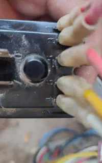 جویای کار