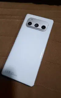 داریا باند امارات