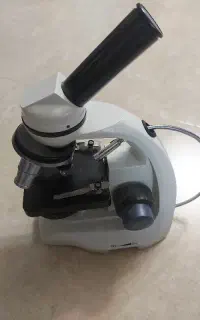 میکروسکوپ تک چشمی
