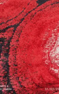 فرش آشپز خانه درحدنو