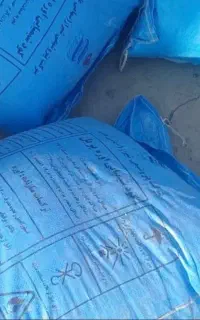 کودسفیددون ریز ودروشت