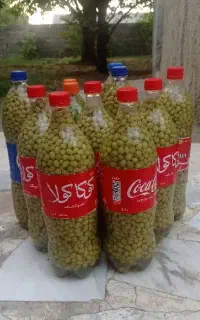 فروش ویژه کشمش غوره ، آبغوره ، دوشاب