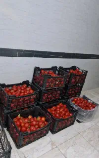 سبد میوه جعبه پلاستیکی سبد پلاستیکی جعبه میوه