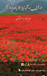 سیمکارت همراه اول