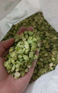 باقالی سبزو تازه