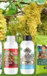 فروت‌ست ارگانیک سبوسیب کروا مخصوص انگور