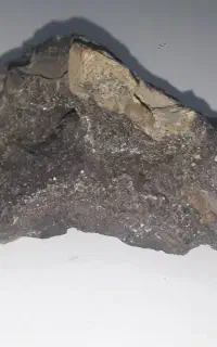 سنگ امیتیس سیاه و فسیل