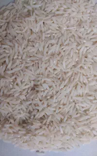 برنج دانه بلند و خوش عطر هاشمی شمال