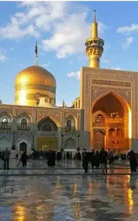 خانم سیدحسینی