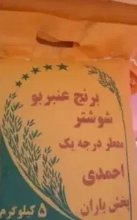 برنج عنبر بو شوشتر احمدی