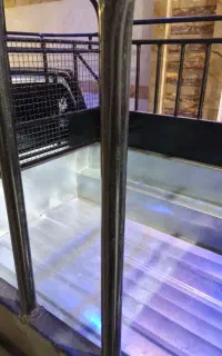 فروش خودرو